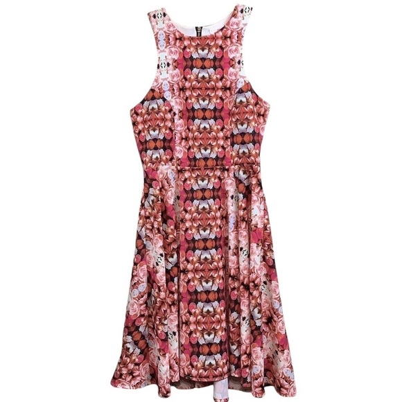 Naven Revolve Jackie Kaleidoscope Floral Rose Skater Dress Pink Red Size 2